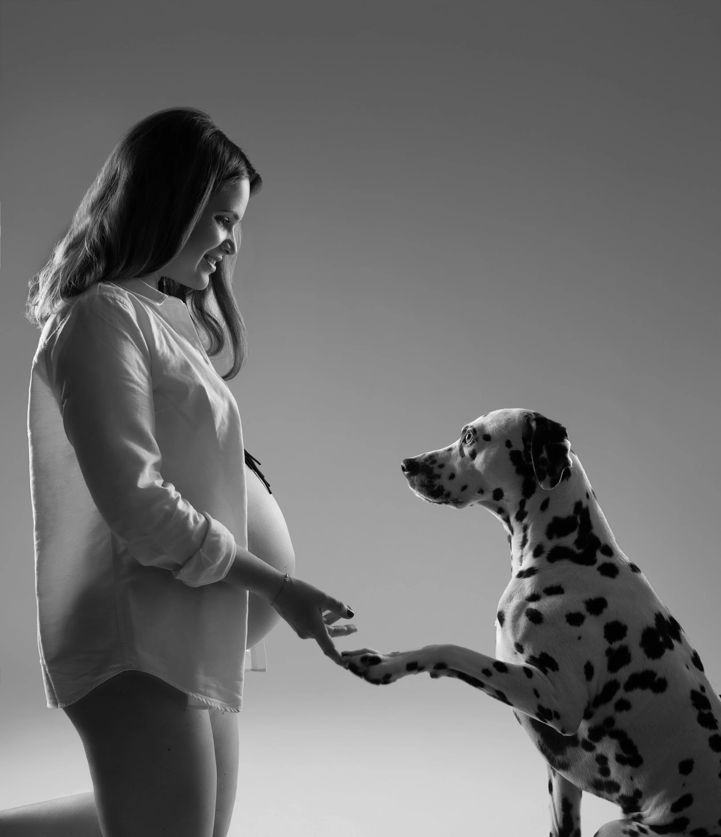 maternity-photoshoot-with-Dalmatian-dog.jpg
