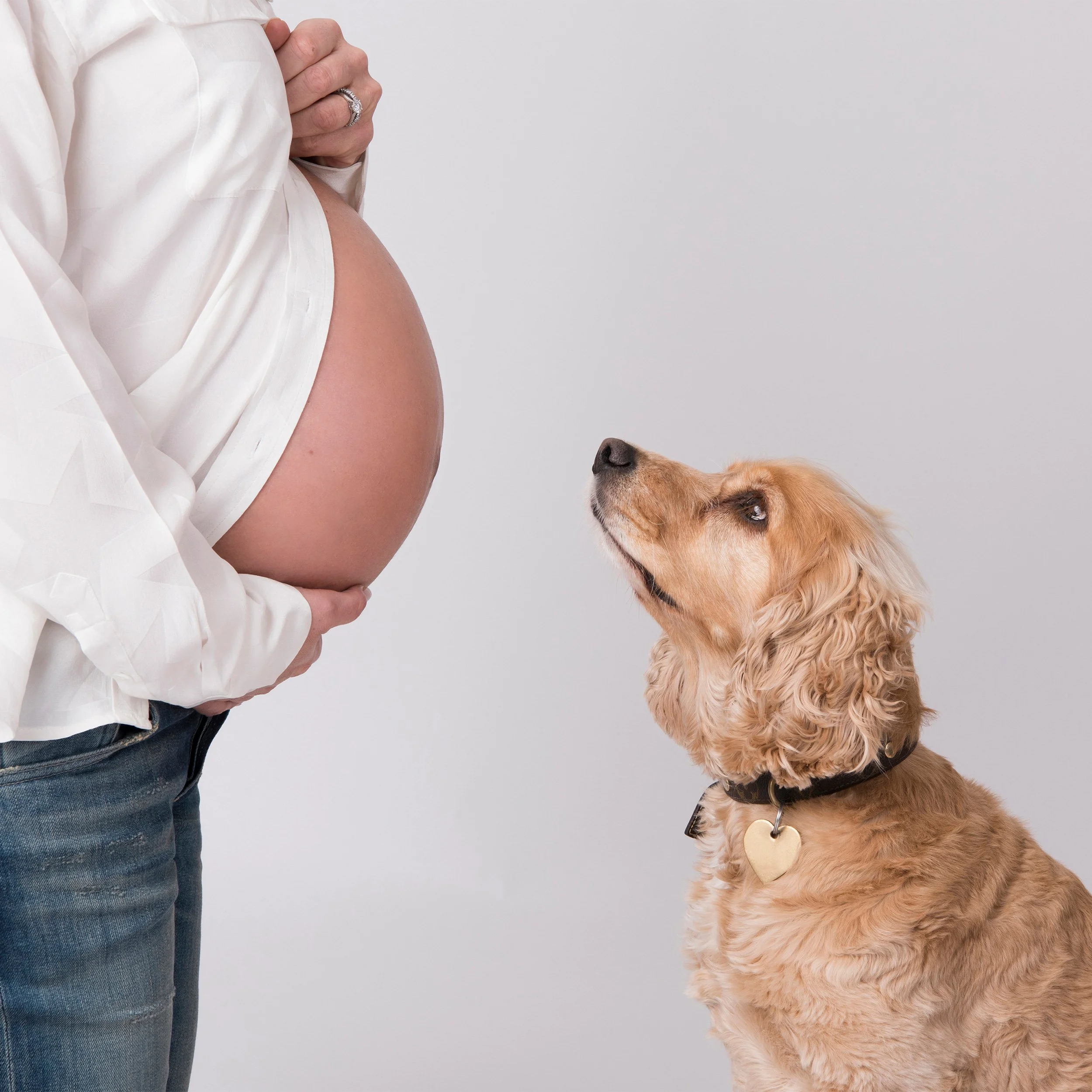 Pregnancy-photography-with-my-dog.jpg