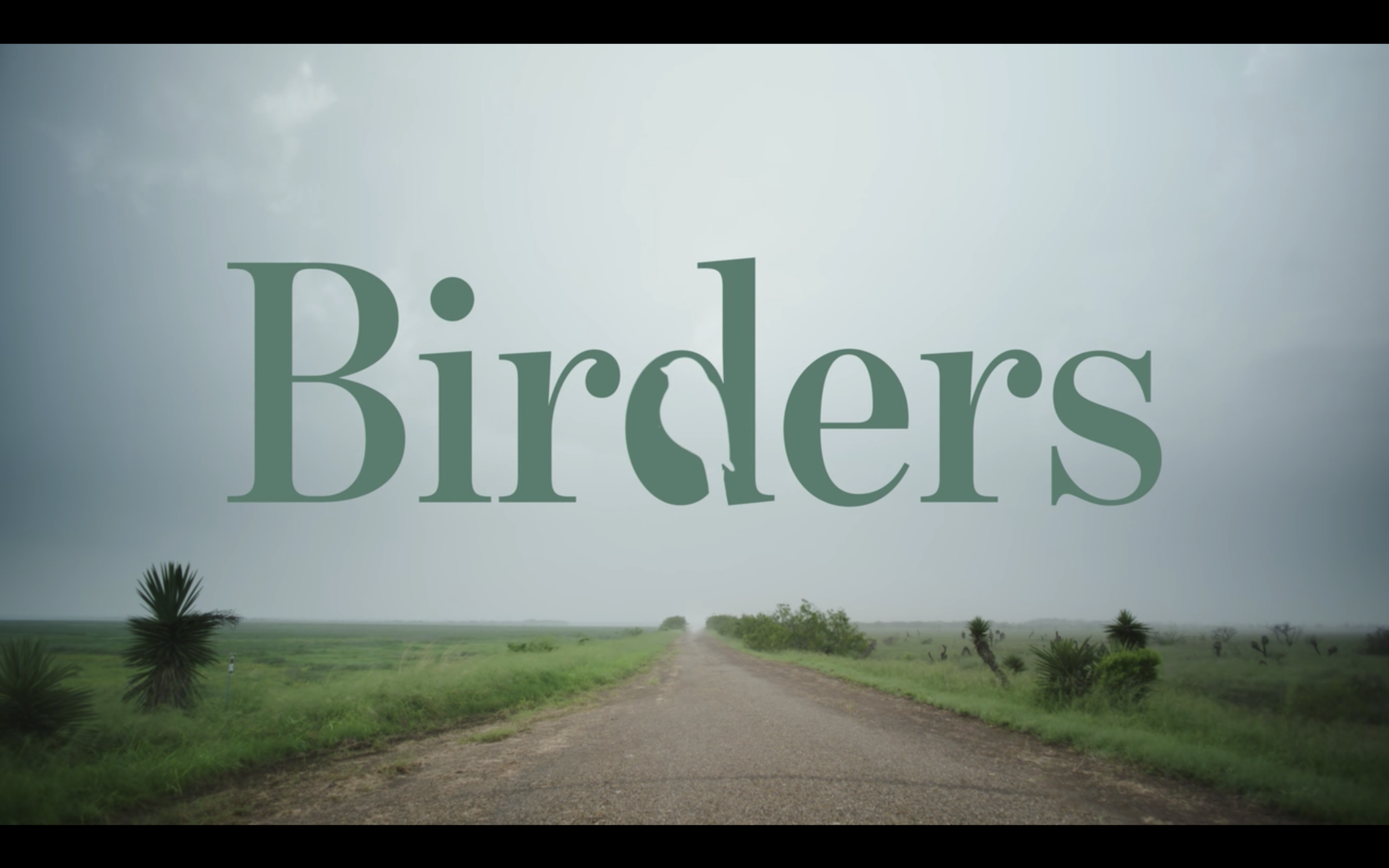 A lovely documentary. Watch it !