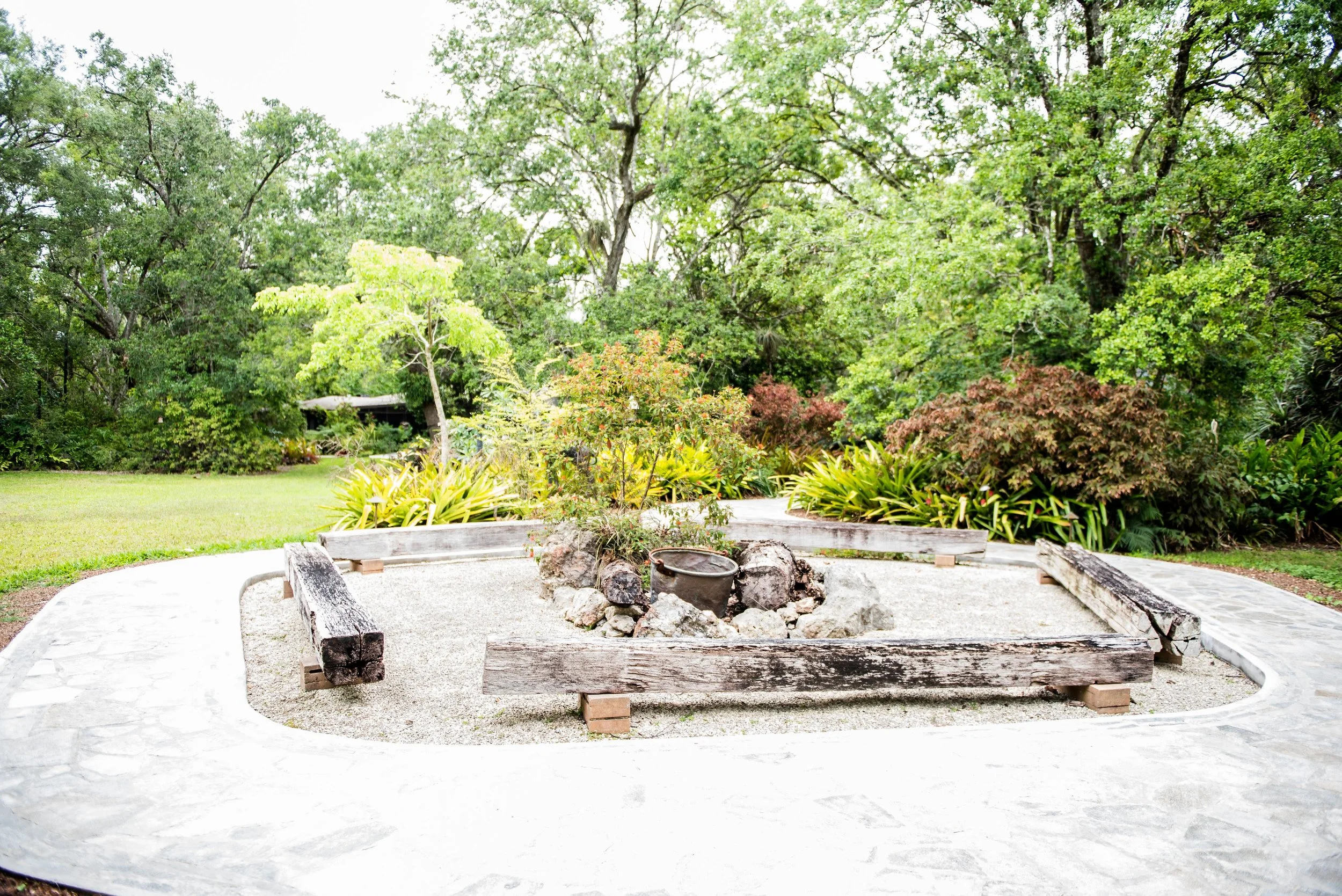 The Wedding Tree — Patch of Heaven Sanctuary