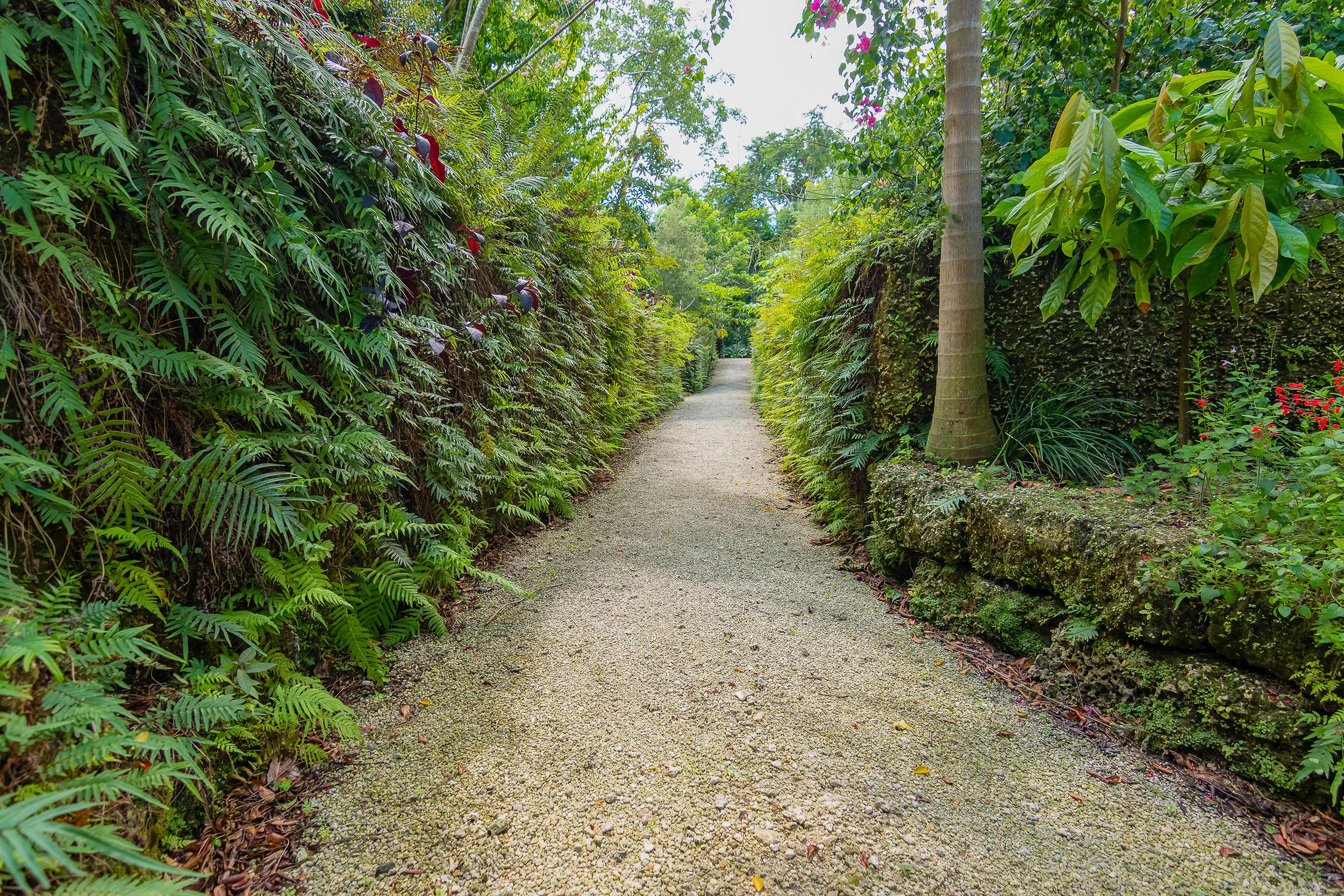 20180915-IMG_9308_smaller.jpg