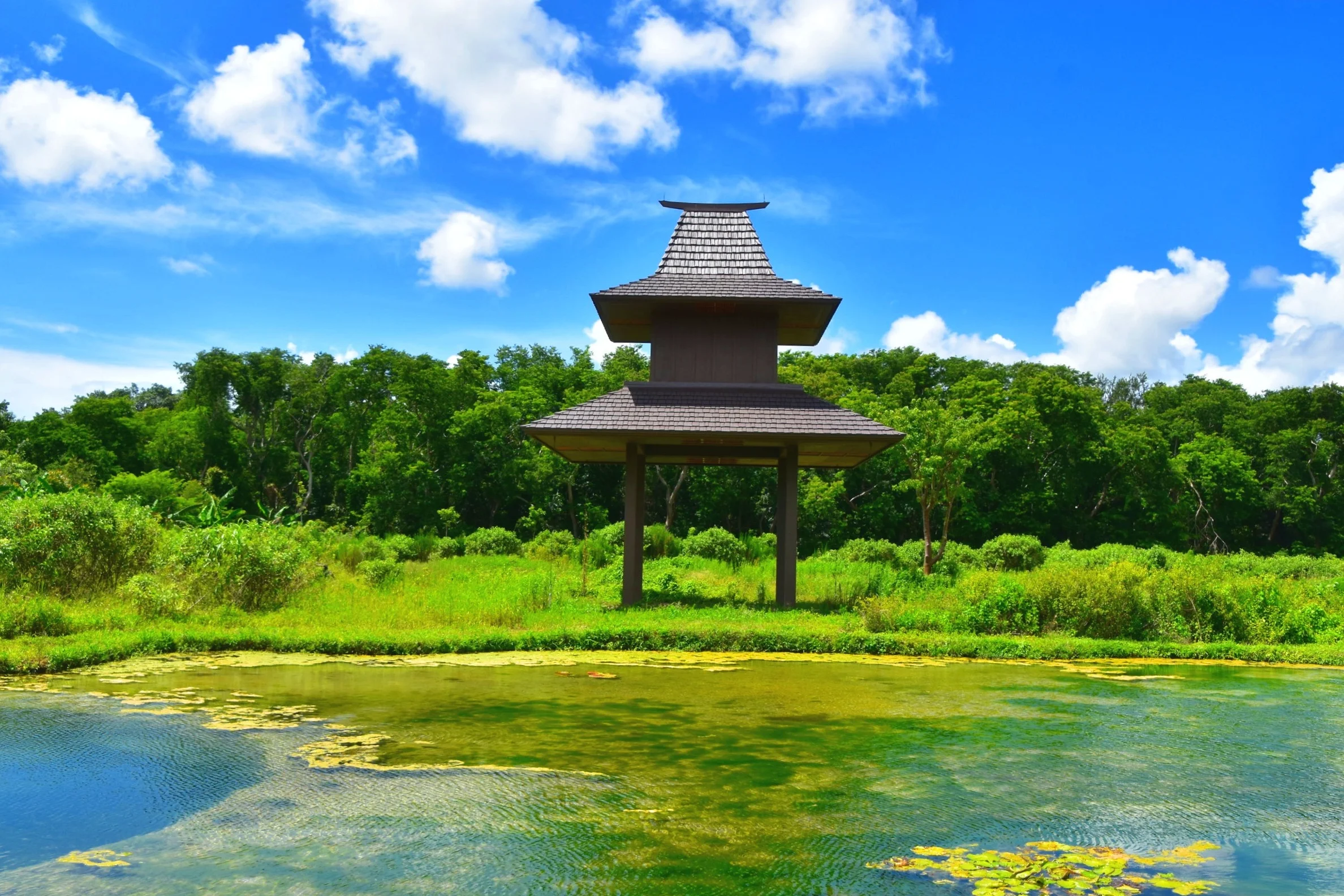 The newly completed Bat House at Patch of Heaven Sanctuary
