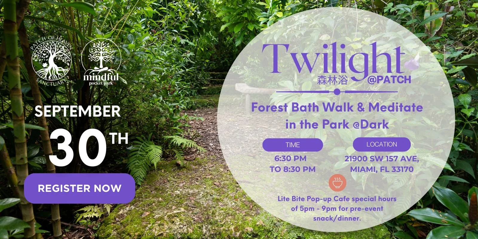 September - Twilight @Patch - Forest Bath Walk and Meditate in the Park @Dark