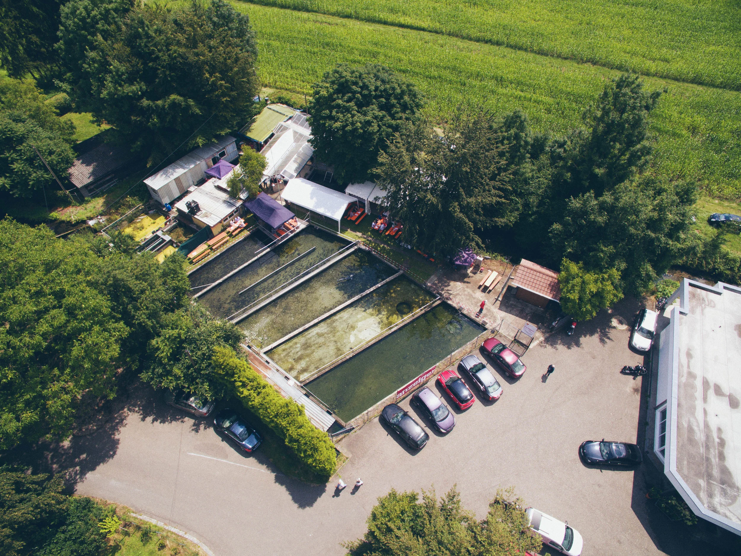 DJI_0113.jpg