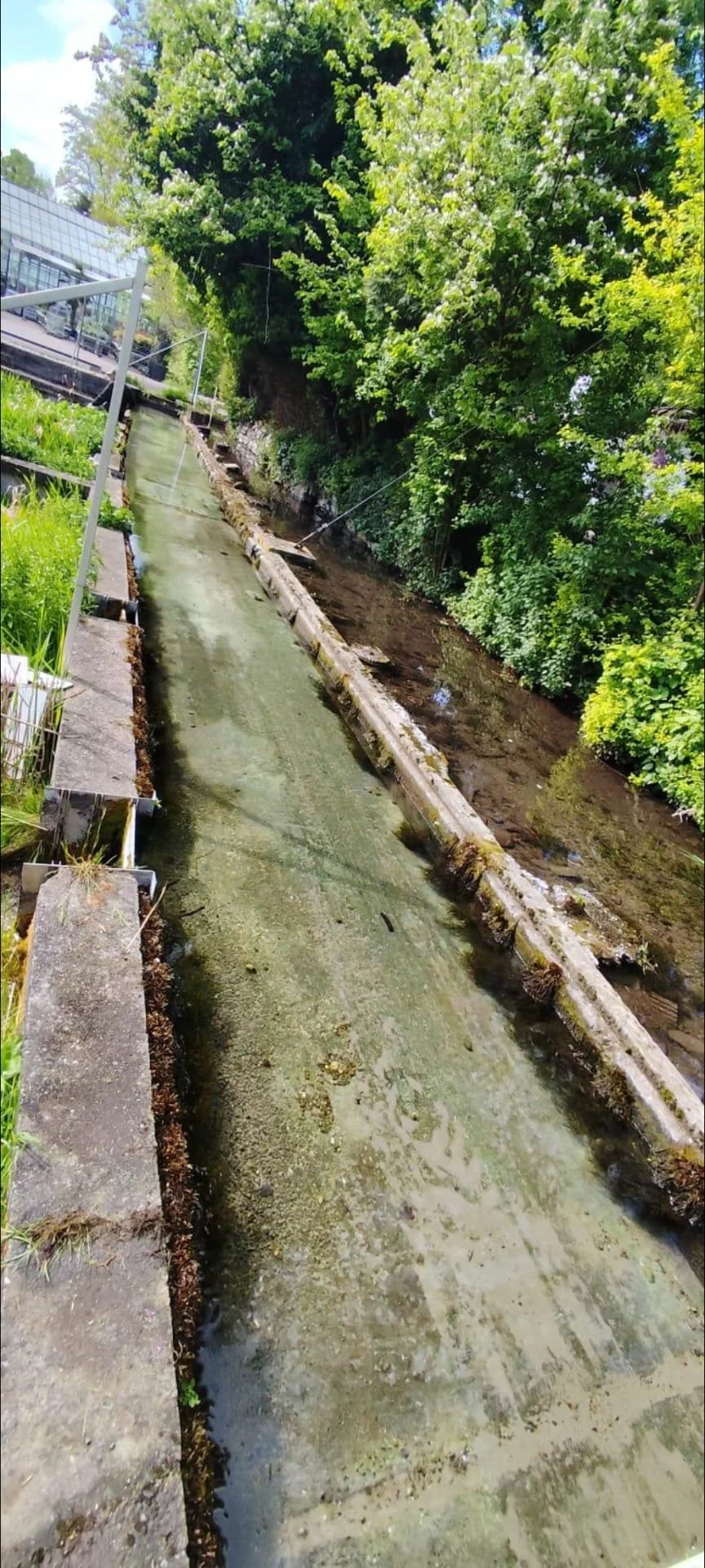 WhatsApp Image 2025-12-27 at 14.33.51.jpeg