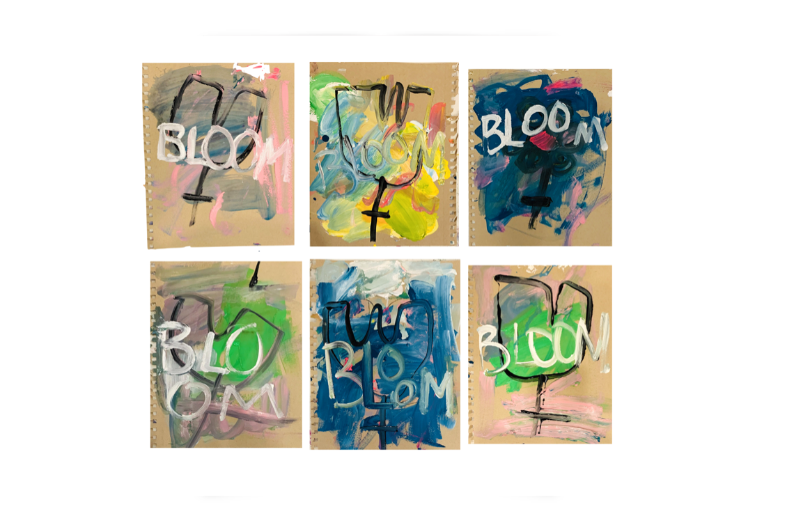 Boom Bloom Series 