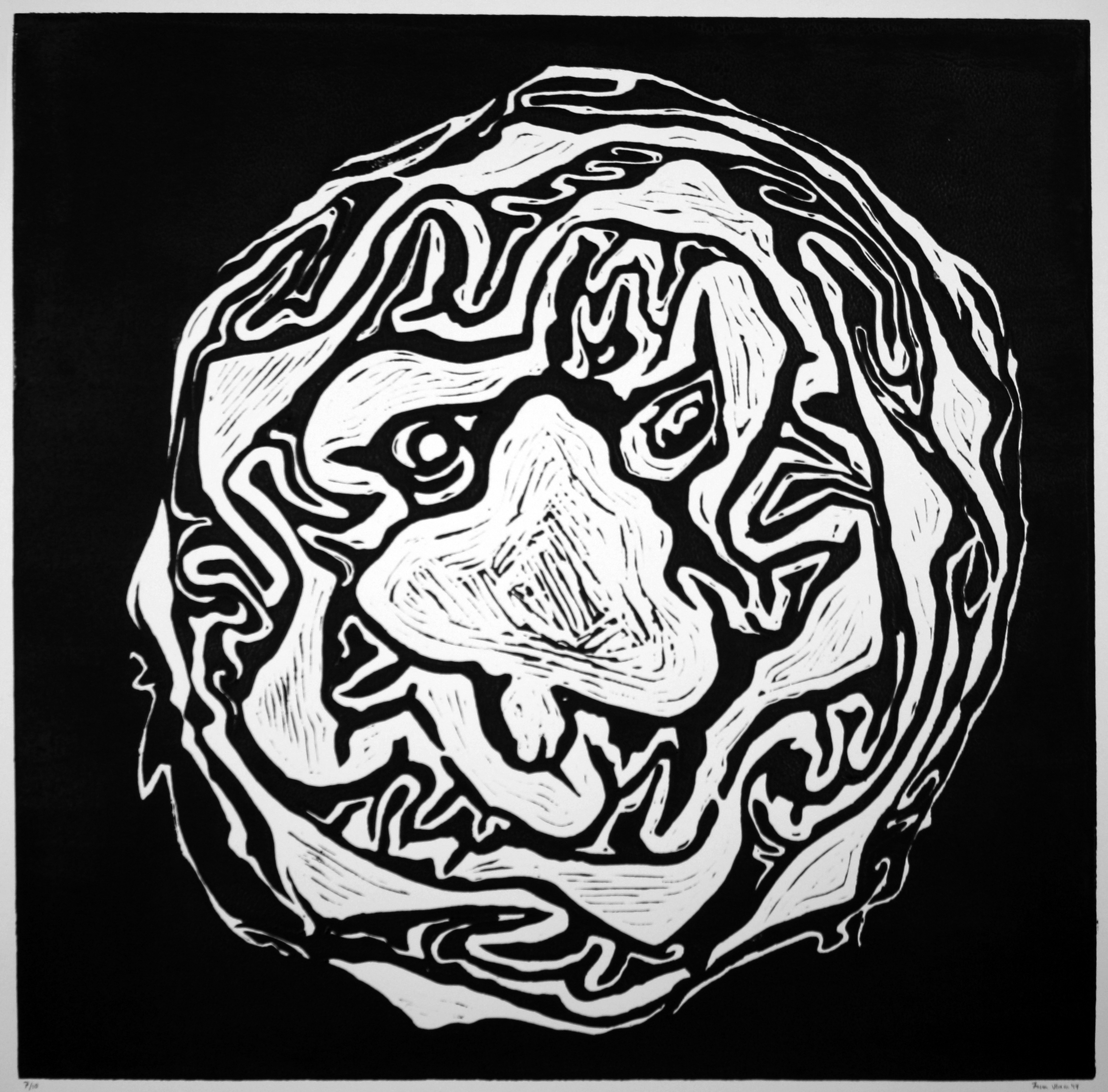 Cabbage I