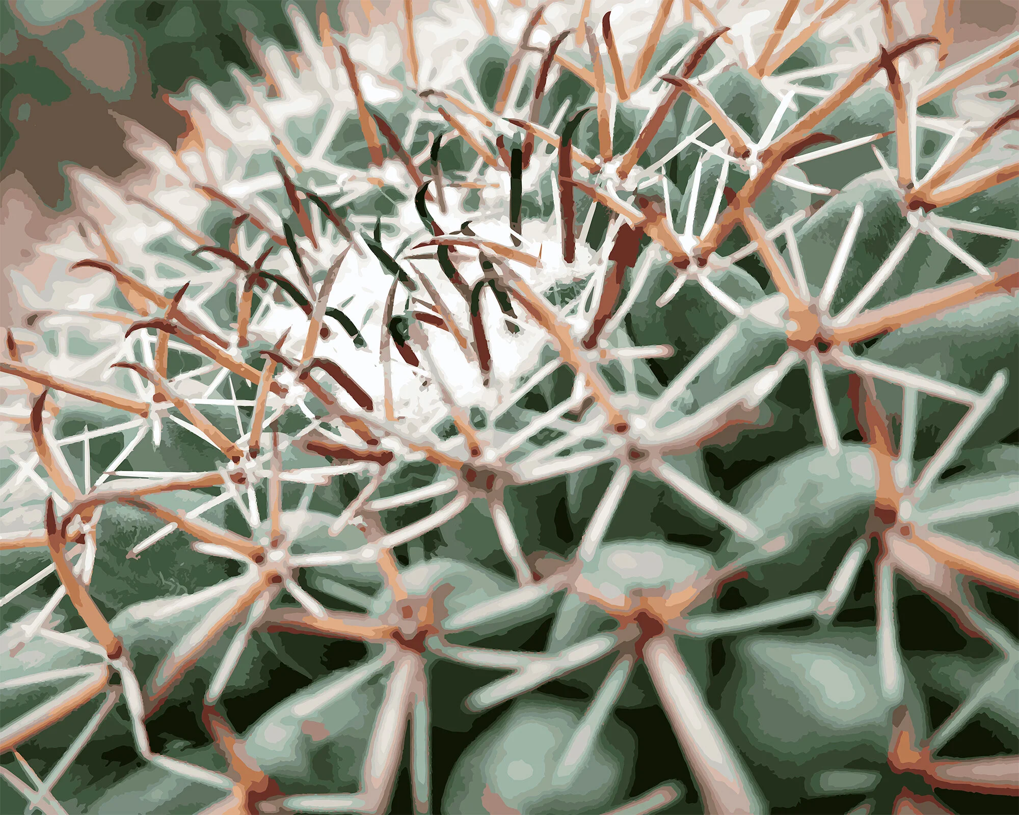 Cactus II.jpg