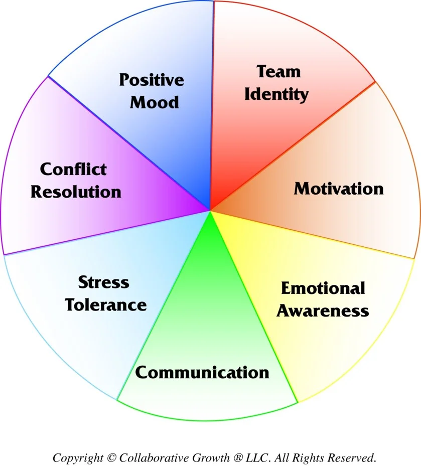Team Emotional and Social Intelligence