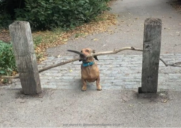 Do You Accept Your Weaknesses As Well As Strengths? 