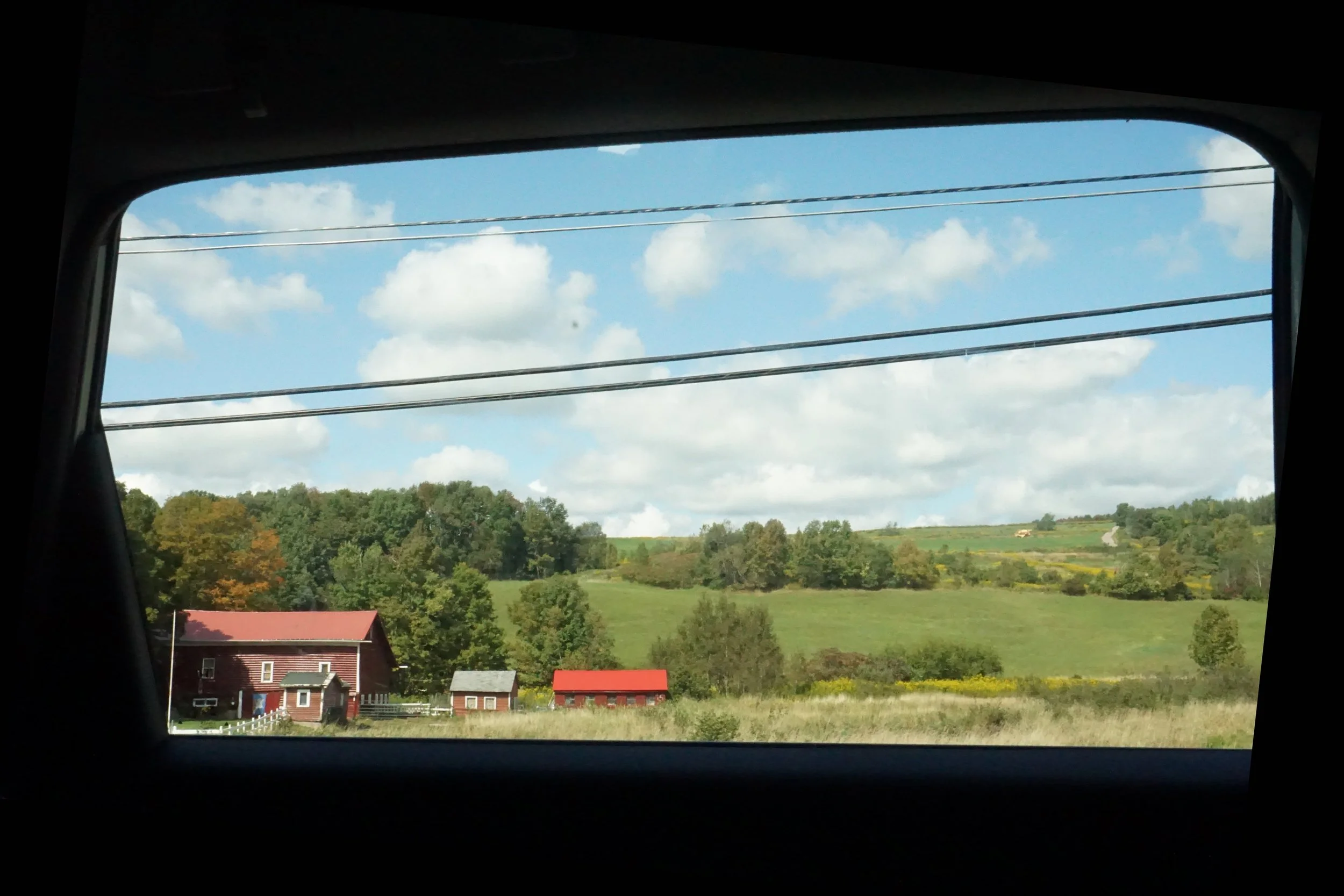 DSC03029.jpg