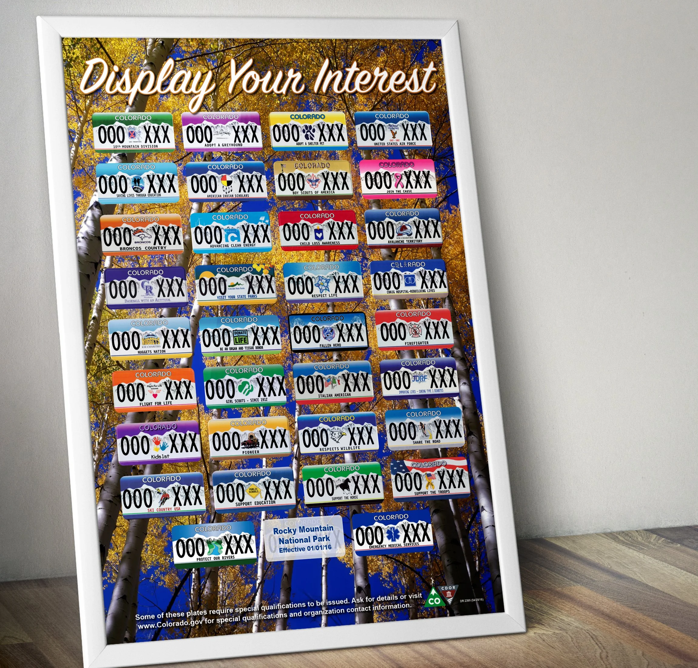 DMV_DYI_Poster Mockup.jpg