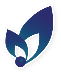 Pearlberry Design Studio