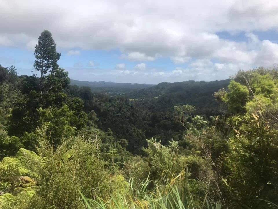 Image: Peta-Maria Tunui