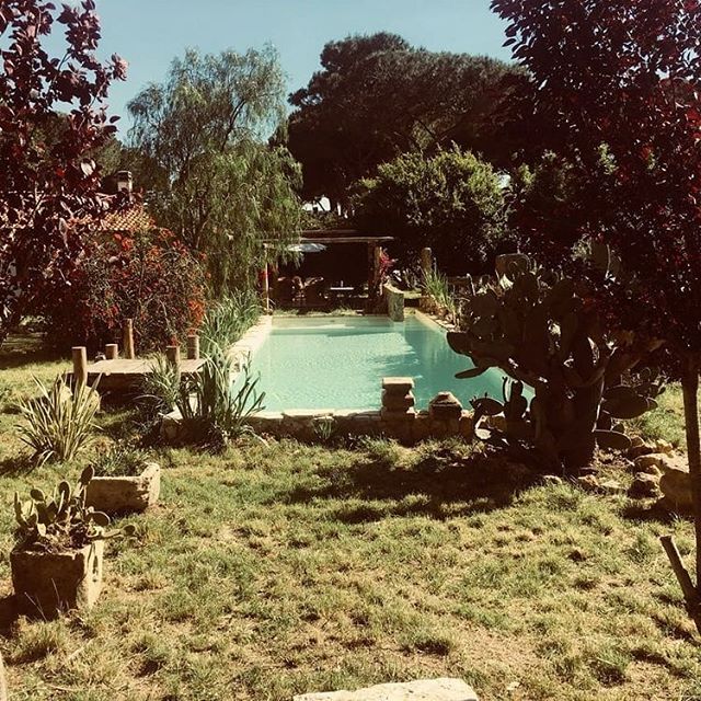 Piscina nel Verde
. .
.
.
.
.
#architettura #outdoor #outdoordesign #piscina #summer #giardino #design #italy #italianstyle #howwework #mezzosangue #roma #mezzosanguearchitects #swimmingpool #swimmingpooldesign #gardendesign #fontanile #maremma #foll