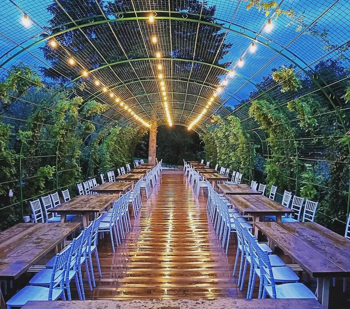 WhatsApp Image 2024-03-04 at 12.42.56 (1).jpeg