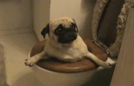 9: Dust Ups and Royal Flushes