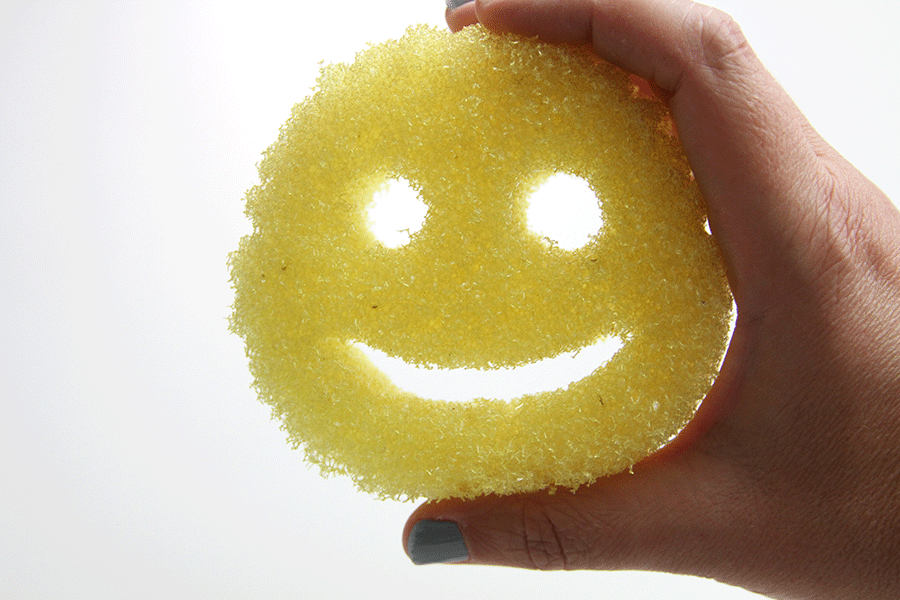 17: Scrub Daddy &amp; The Spongy Boys