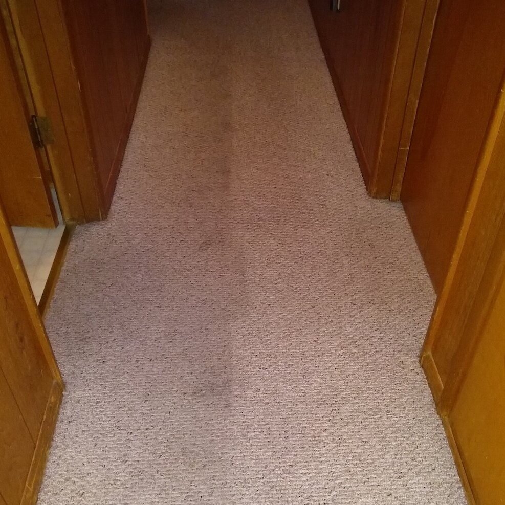Rug+Doctor+Cheryl.jpg