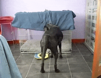 109: You're Doing Crate, Sweetie!