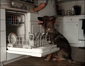 114: Pet Projects