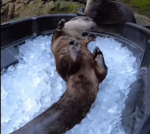 124: Ice Guys Finish Last 