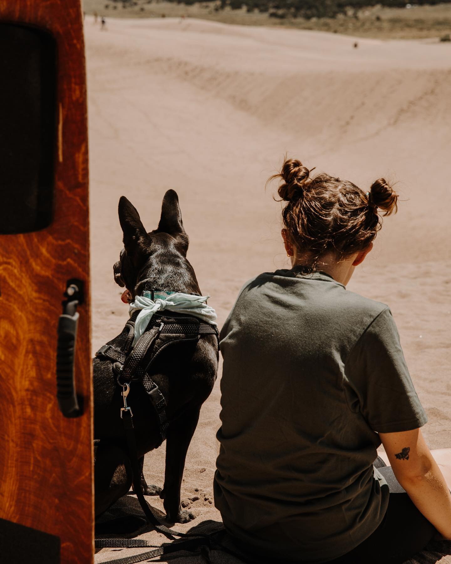 Starting to go through all the road trip pictures now that we are back! So excited to share my favorite trip I have ever taken!
&bull;
&bull;
&bull;
&bull;
&bull;
#earthoutdoors #earthpix #roamtheplanet #adventurelabs #wildcolorado #earthfocus #earth