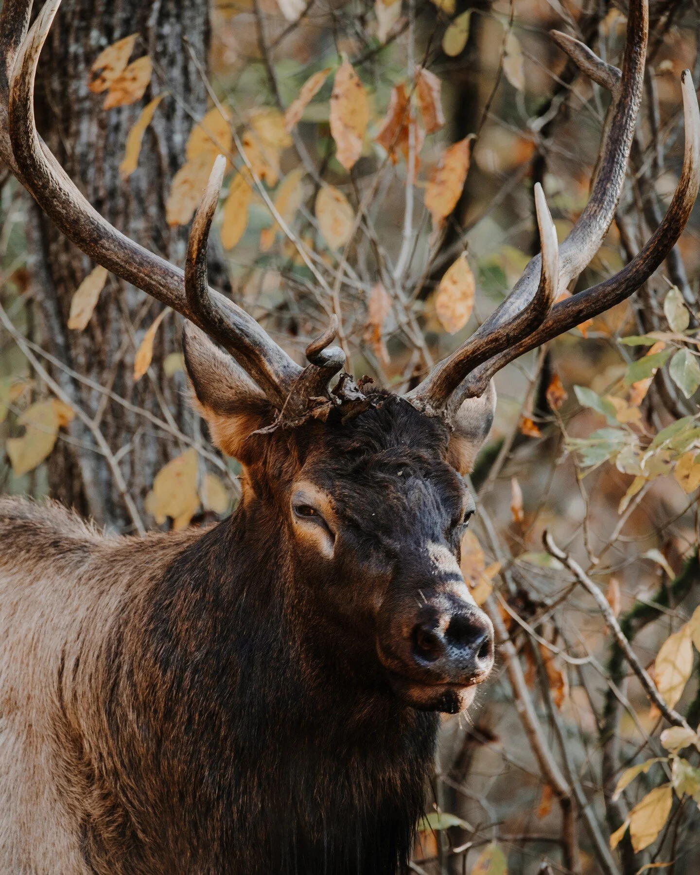 Will be back on the road this summer. Excited to be out shooting again!
&bull;
&bull;
&bull;
&mdash;&mdash;&mdash;&mdash;&mdash;&mdash;&mdash;&mdash;&mdash;&mdash;&mdash;&mdash;&mdash;&mdash;&mdash;&mdash;&mdash;&mdash;&mdash;&mdash;&mdash;&mdash;&md