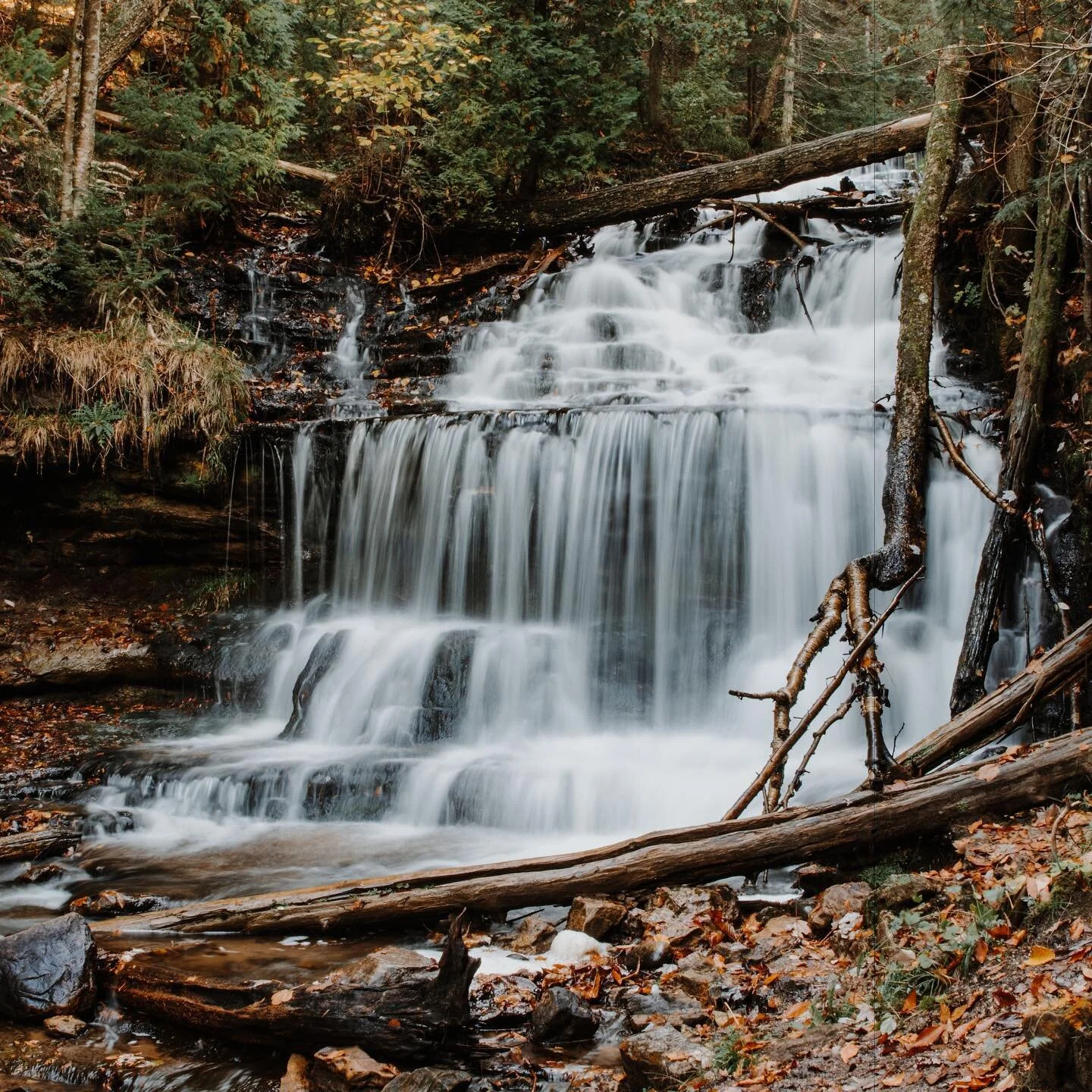 Please don&rsquo;t let fall leave
&bull;
&bull;
&bull;
&bull;
&bull;
&bull;
&bull;
#magnificomagazine #headspacemag #exploreobserveshare #indeepmagazine #homesickplaces #takemoreadventures #kalermagazines #hellofrom #westcoast #thoughtcatalog #advent