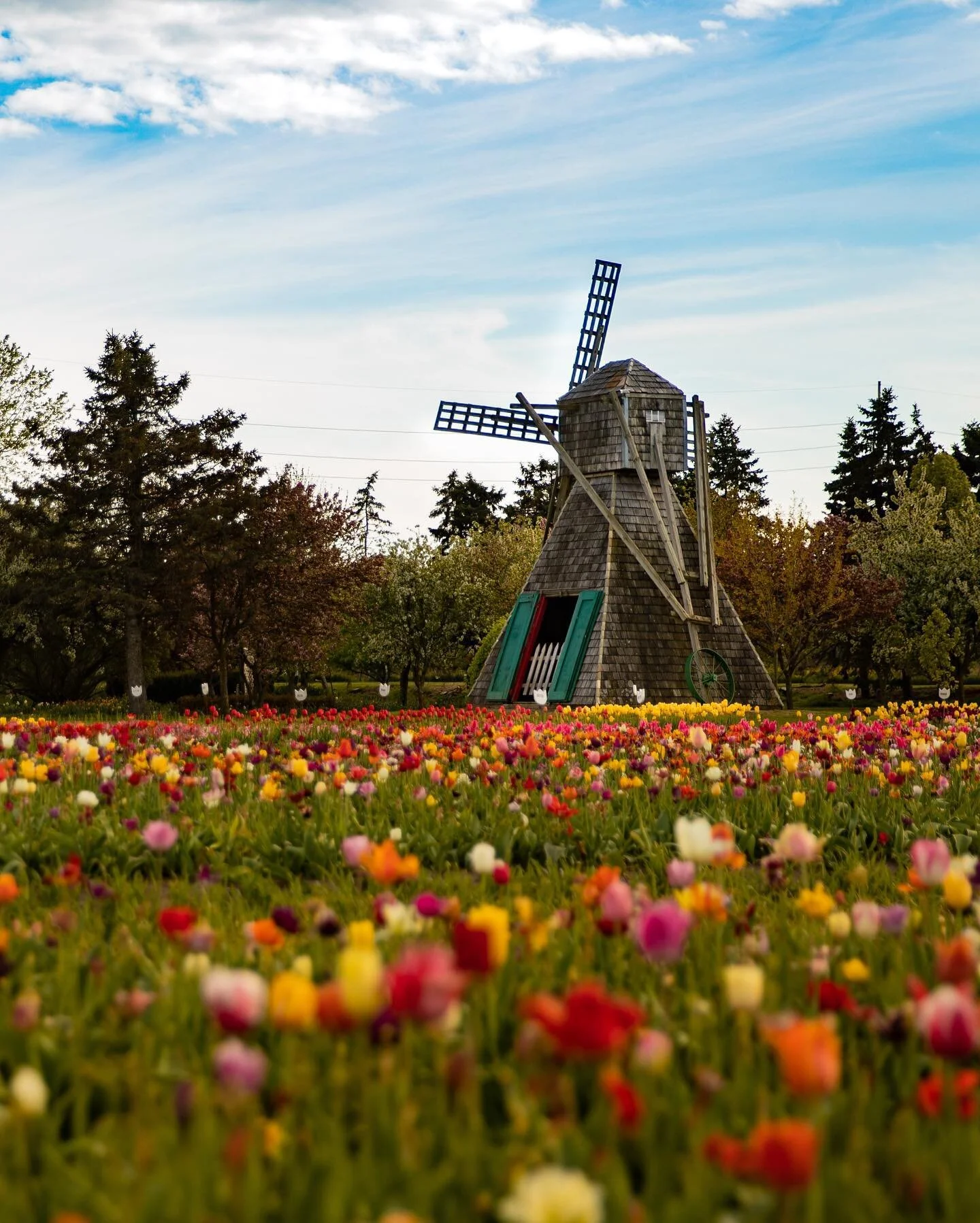 Final shot from beautiful Holland, Michigan! Can&rsquo;t wait to go back!
&bull;
&bull;
@discoverholland 
&bull;
&bull;
&bull;
&bull;
&bull;
#magnificomagazine #headspacemag #exploreobserveshare #indeepmagazine #homesickplaces #takemoreadventures #ka