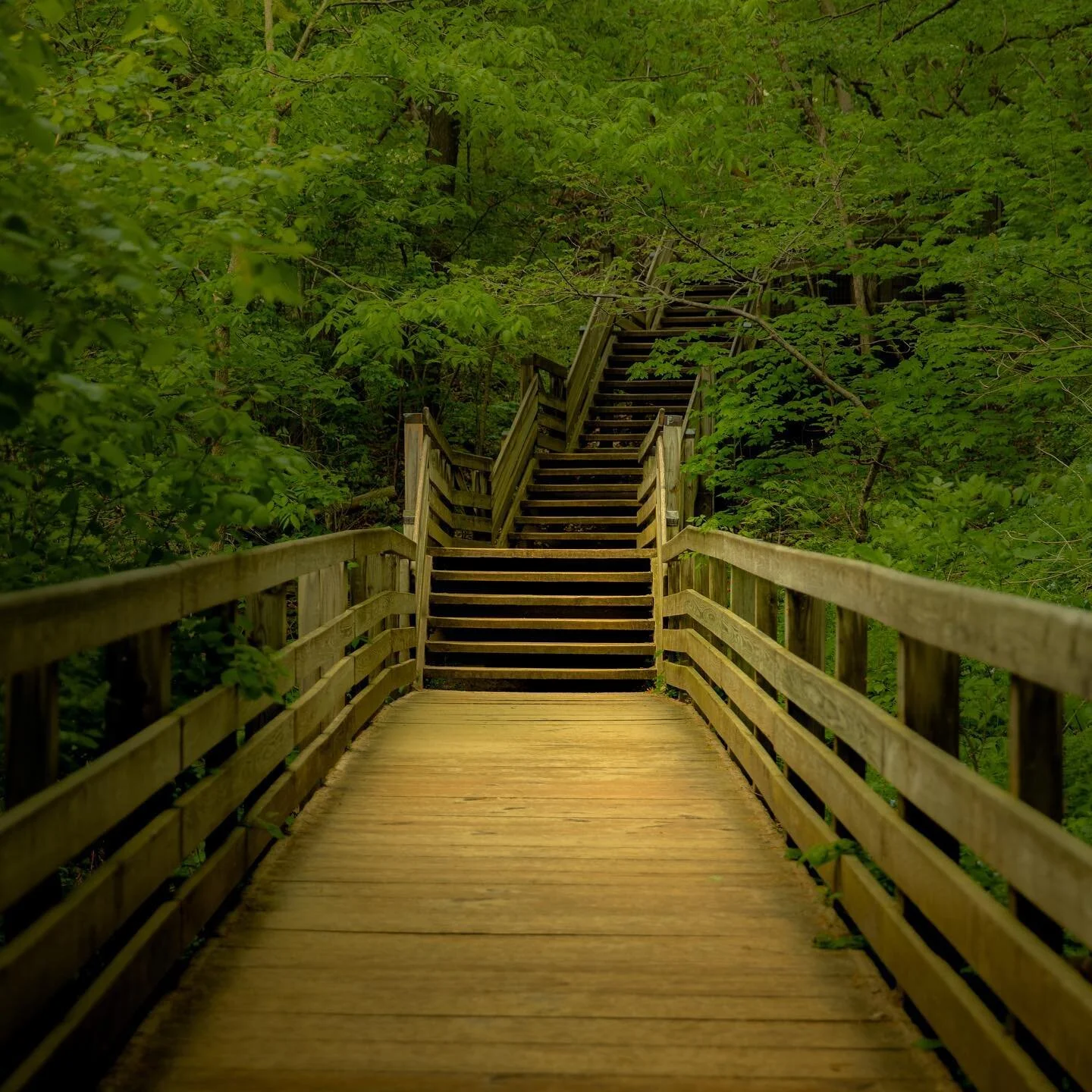 Who knows where it will lead us...
&bull;
&bull;
&bull;
&bull;
&bull;
&bull;
&bull;
&bull;
&bull;
&bull;
#earthoutdoors #earthpix #roamtheplanet #adventurelabs #wildcolorado #earthfocus #earthofficial #eclectic_shotz #trekkingtoes #shotsdelight #wild