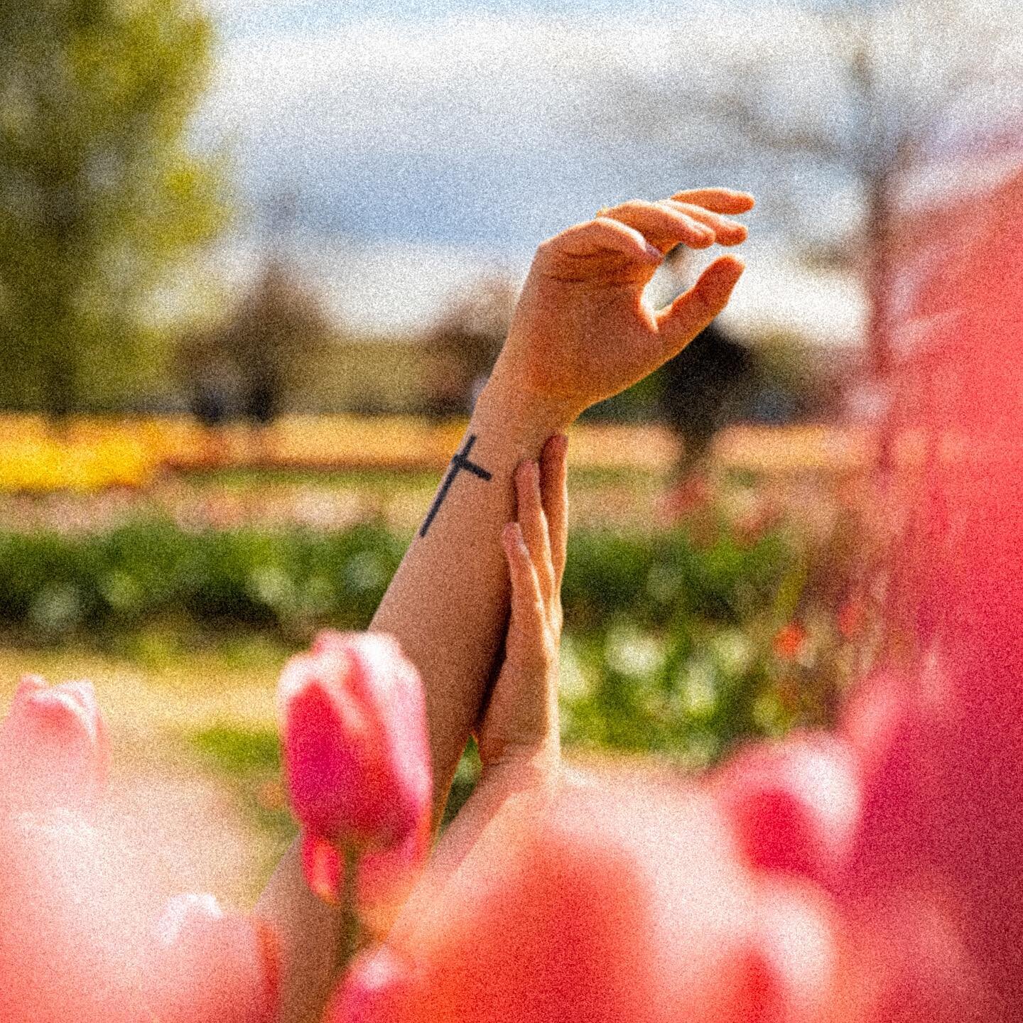 🌷Flower Child🌷
&bull;
&bull;
Swipe for @daniellecherry_125 &lsquo;s actual feelings😂😂
&bull;
&bull;
&bull;
&bull;
&bull;
&bull;
&bull;
&bull;
&bull;
&bull;
#magnificomagazine #headspacemag #exploreobserveshare #indeepmagazine #homesickplaces #tak