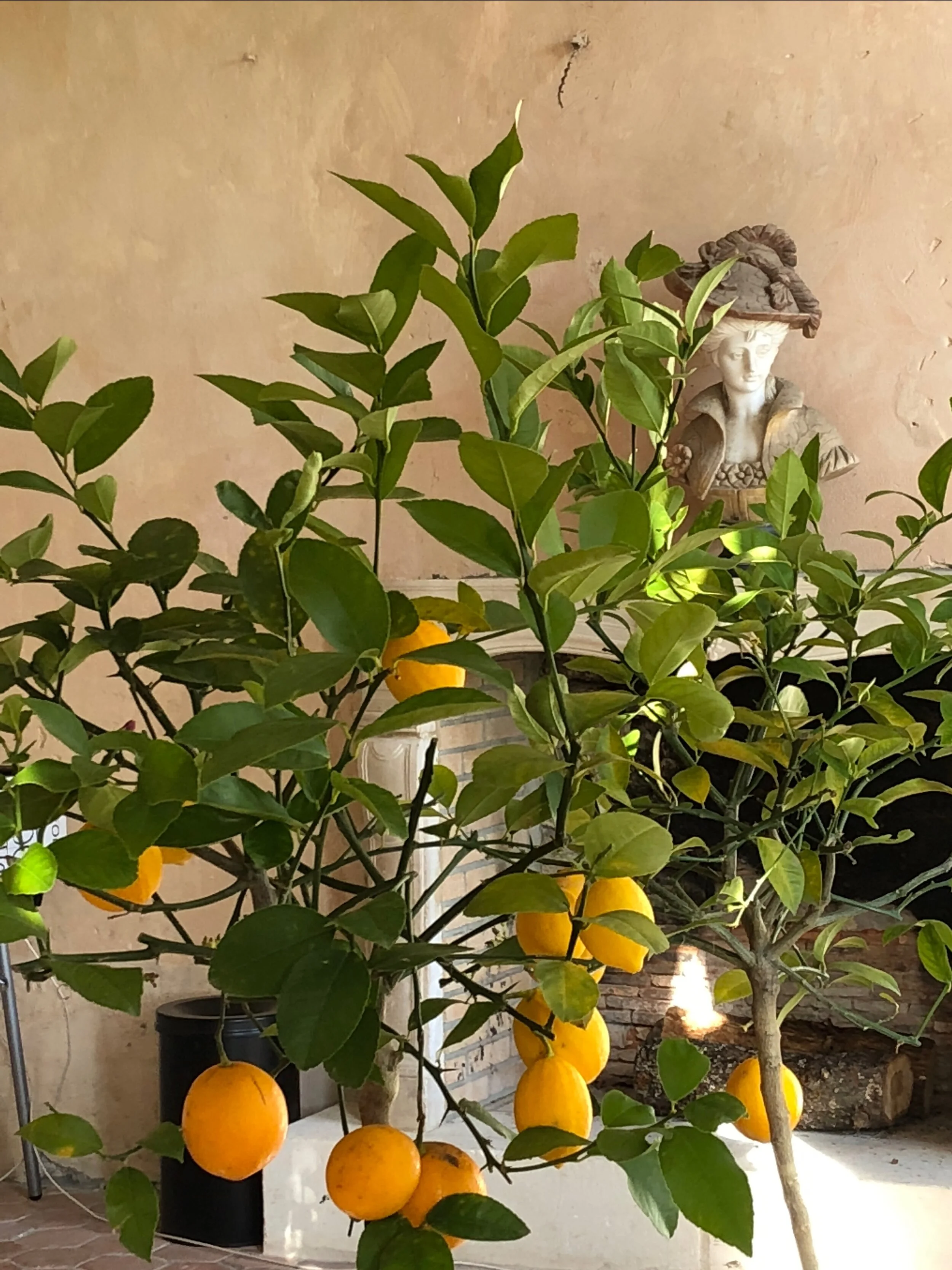 Confinement au Château de Courtomer...