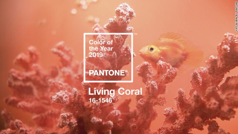  Pantone Color of the Year is Living Coral. Columbus Wedding Planner 
