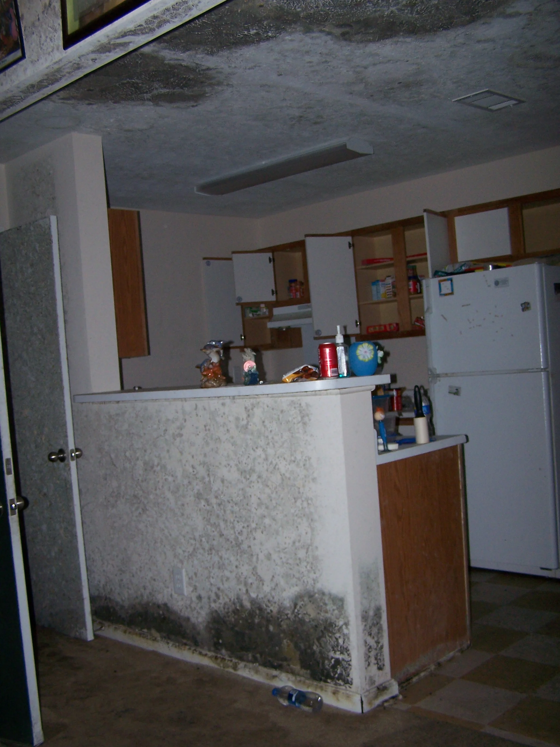 Mold Damage