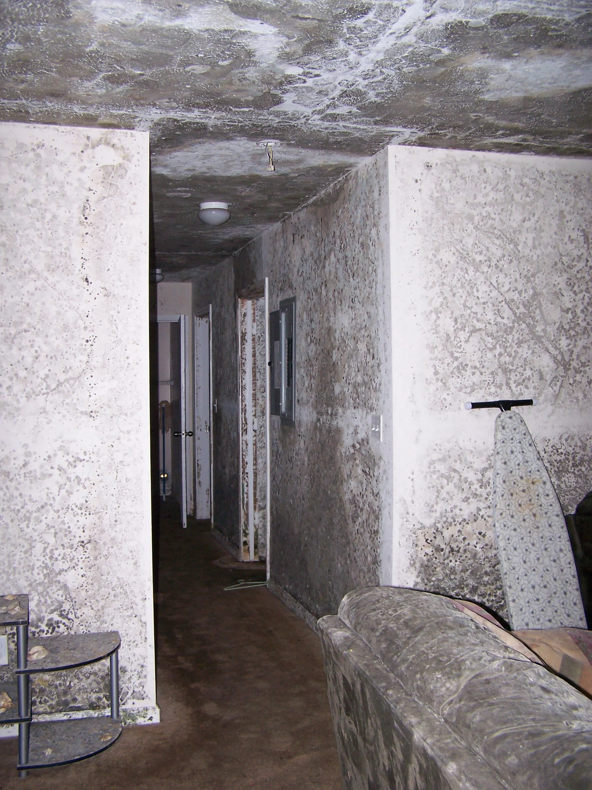 Mold Damage