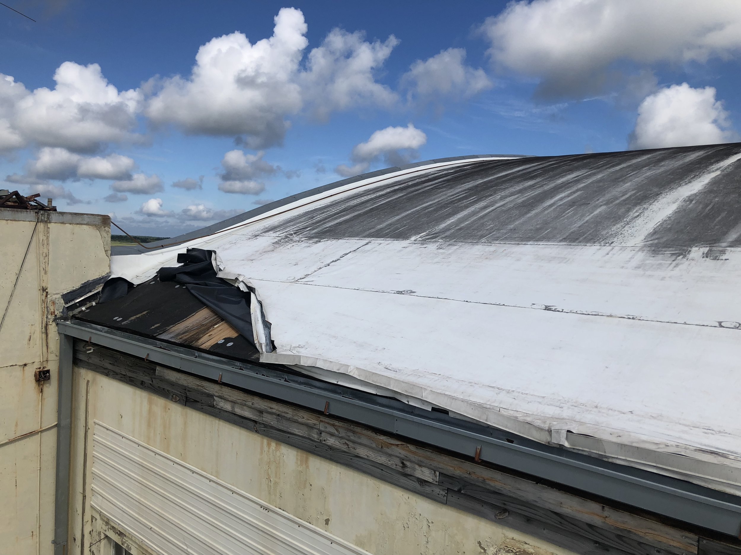 Wind Damage