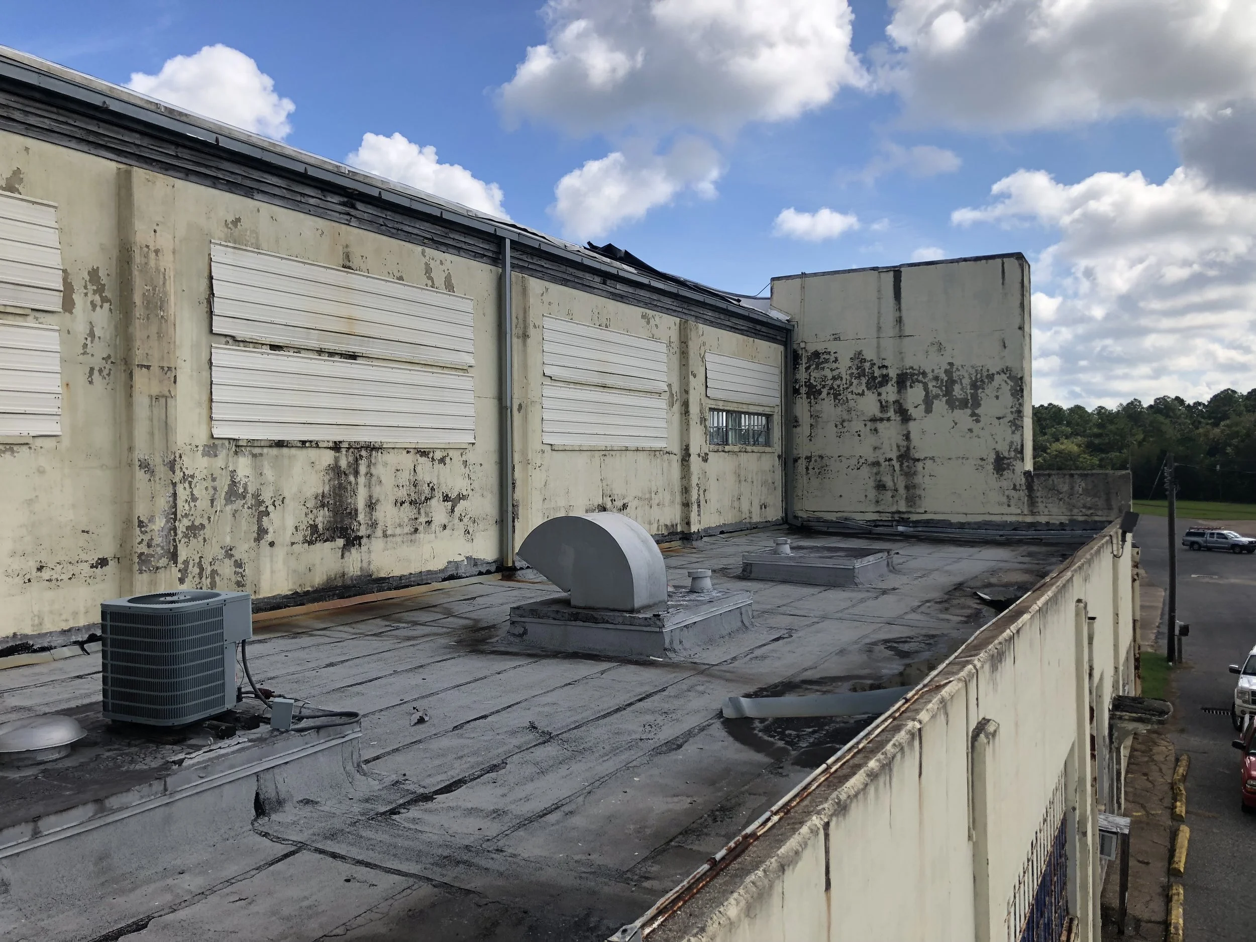 Wind Damage