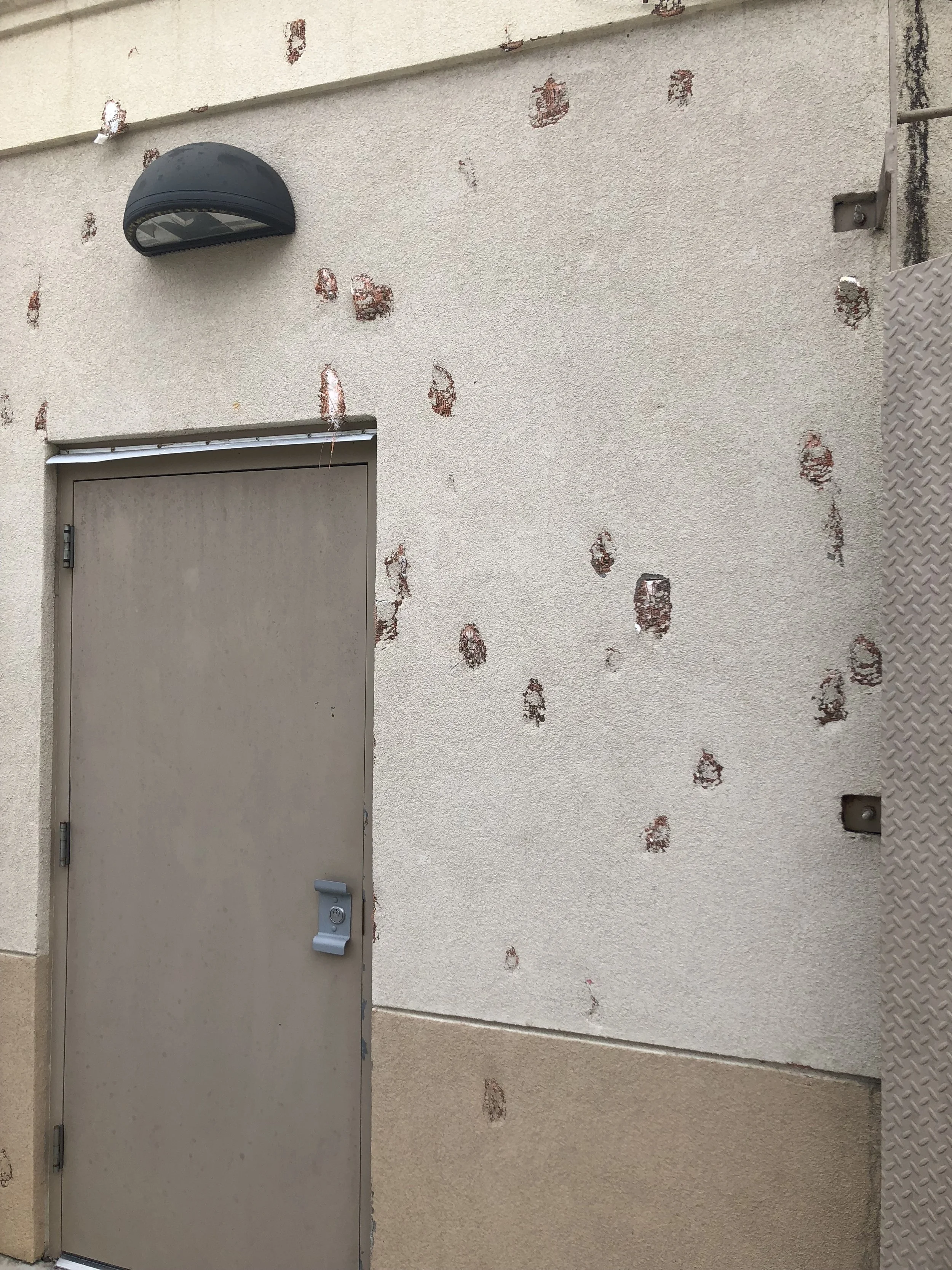 Cause of Loss: Hail Damage