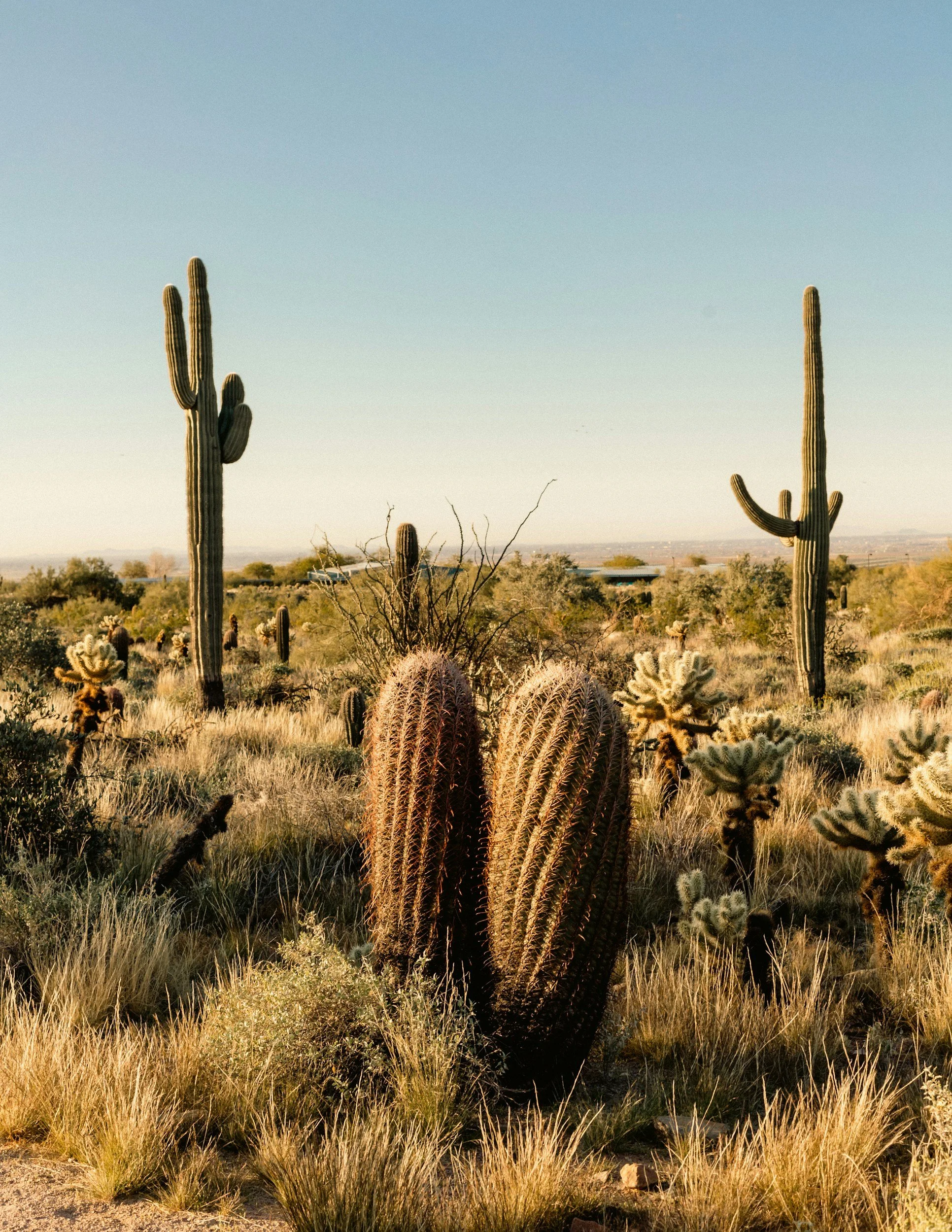 The Scottsdale May Experience: Sunsets, Fresh Flavors and Time Well Spent