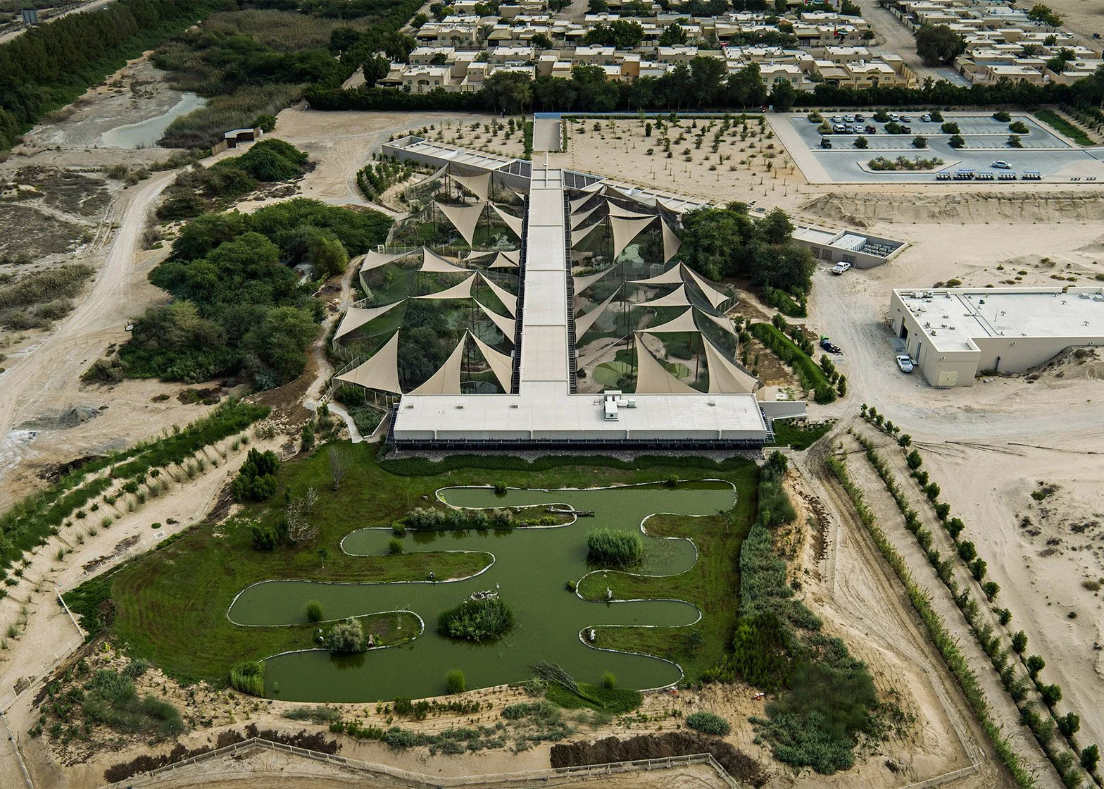 wasit-natural-reserve-x-architects-sharjah-united-arab-emirates-nelson-garrido-photography_dezeen_1568_3.jpg