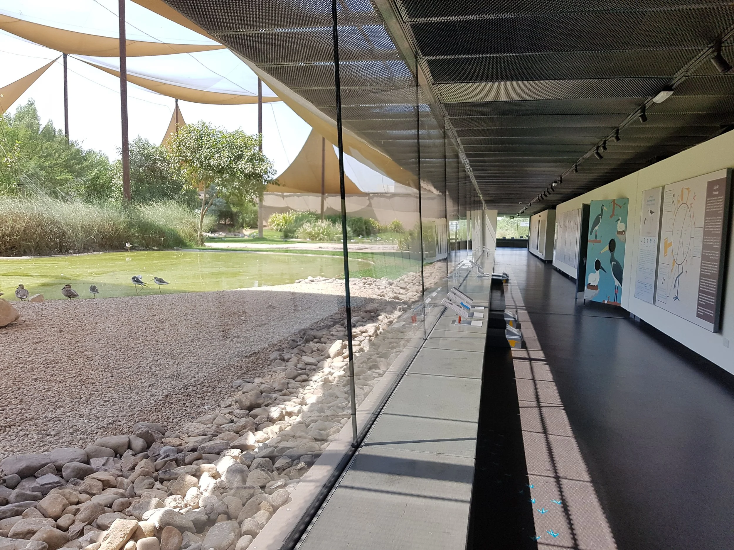Wasit_Wetland_Centre.jpg