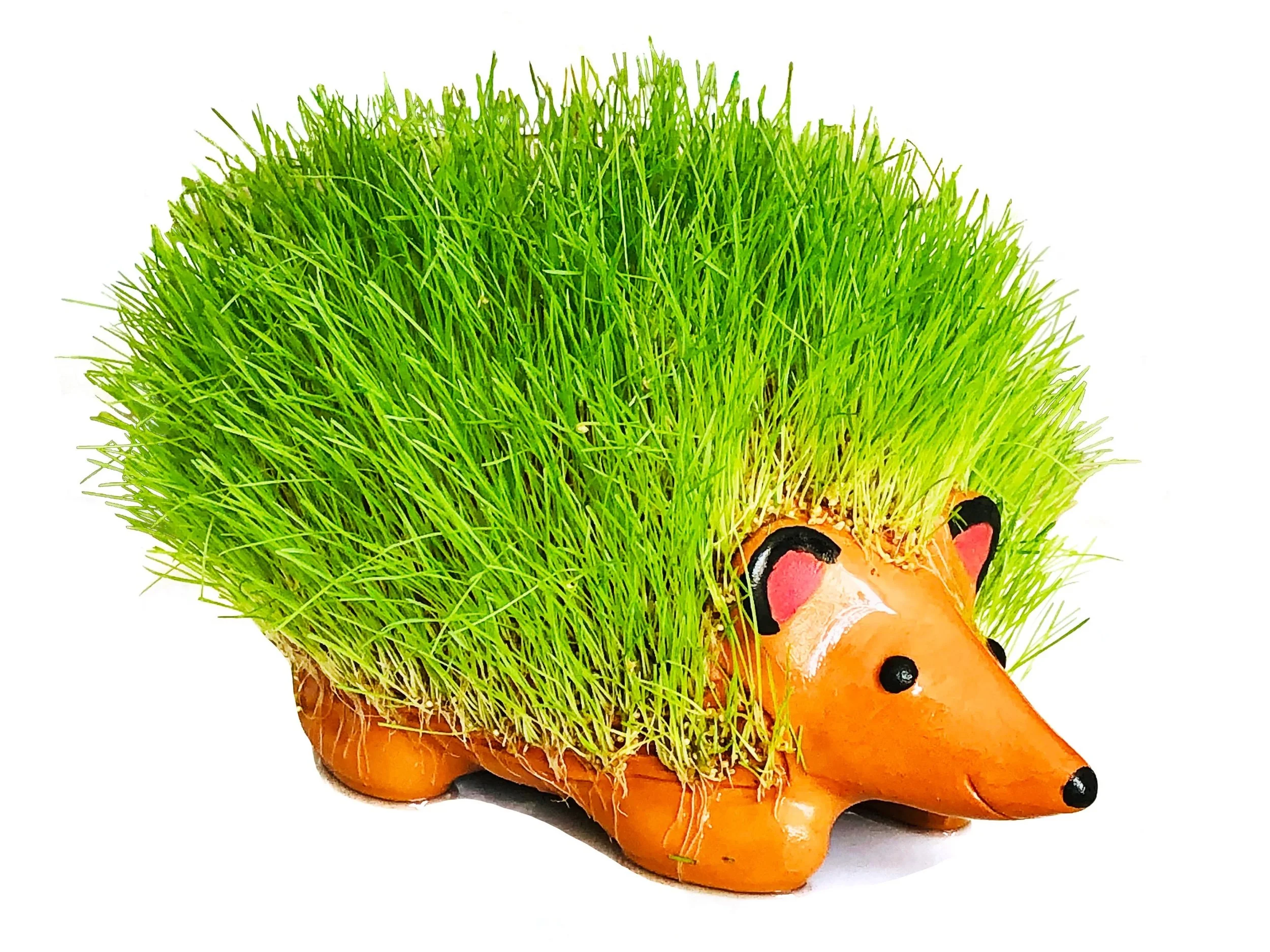 Aug 09: Make a Green Pet!