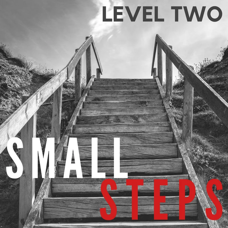 Small Steps.jpg