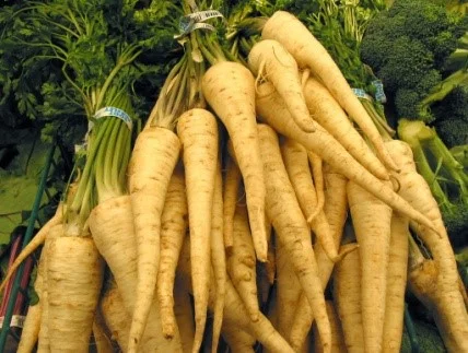 info parsnips.jpg