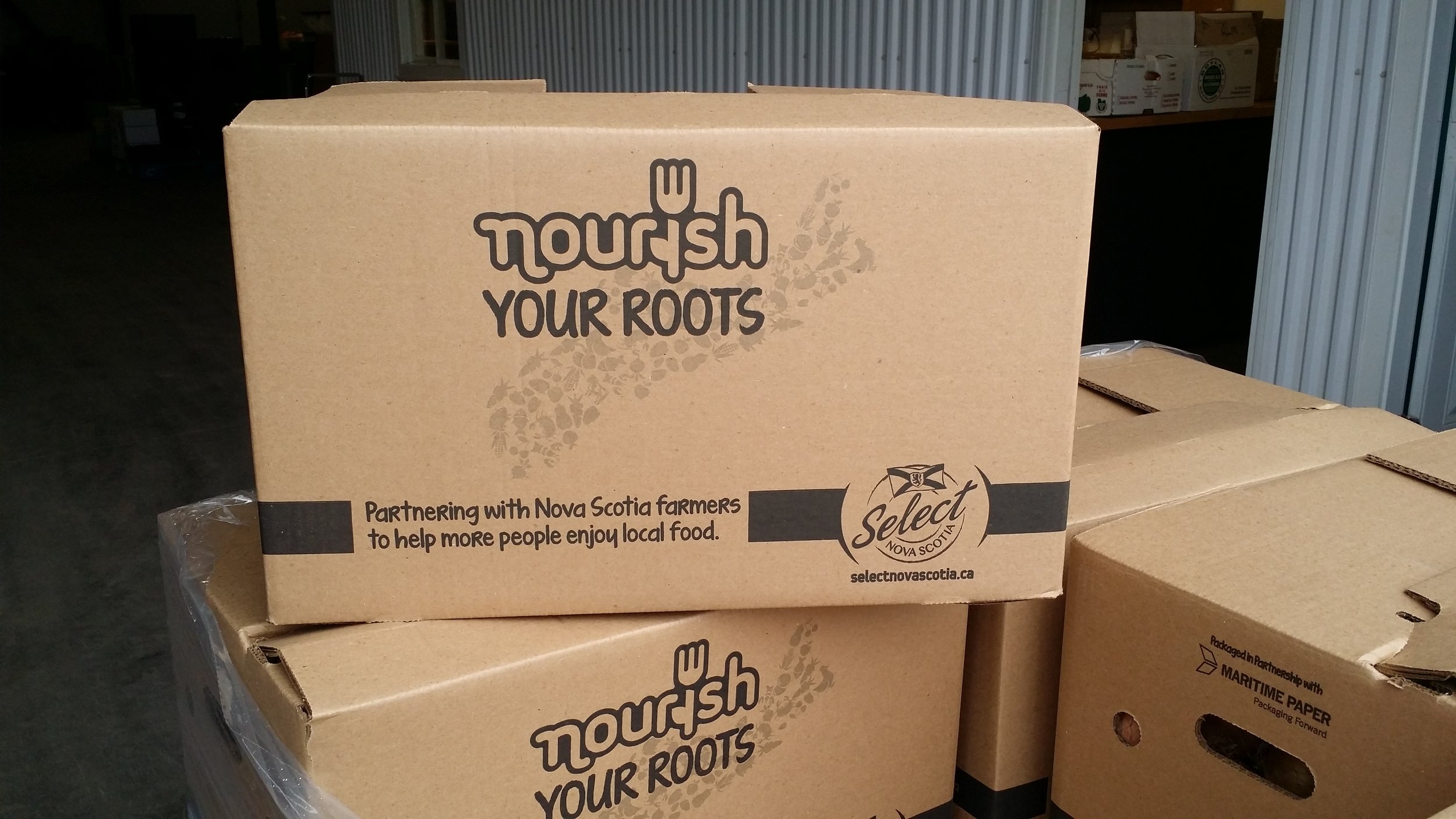 Nourish your roots box.jpg