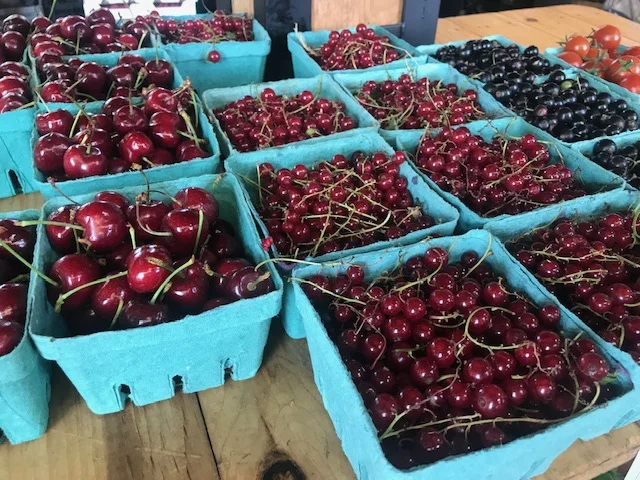 Market 6.jpg