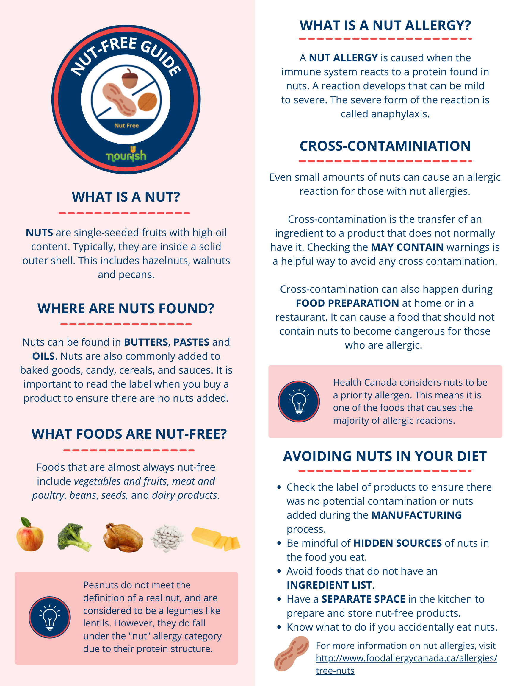 Nut Allergy Guide