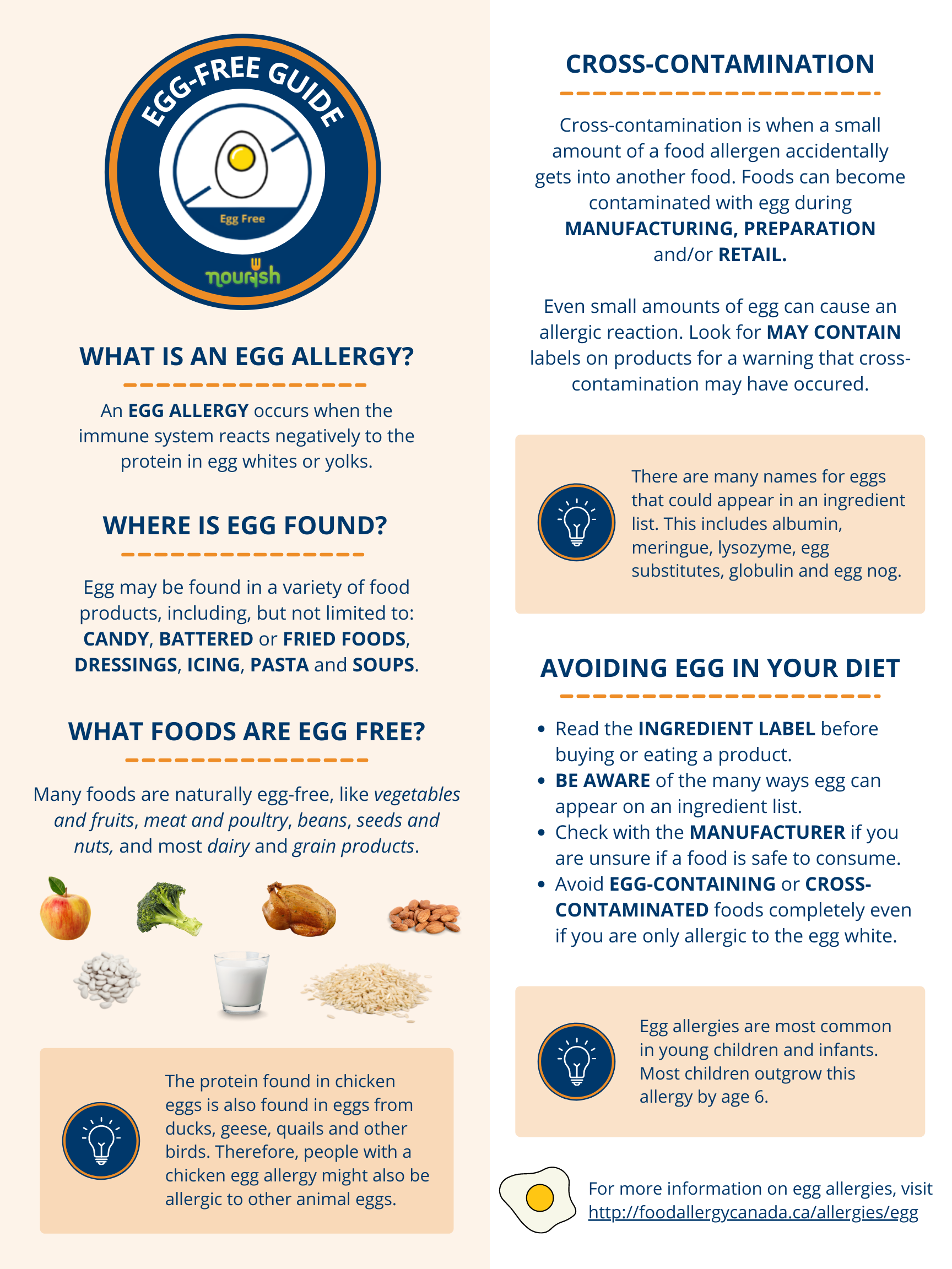 Egg Allergy Guide