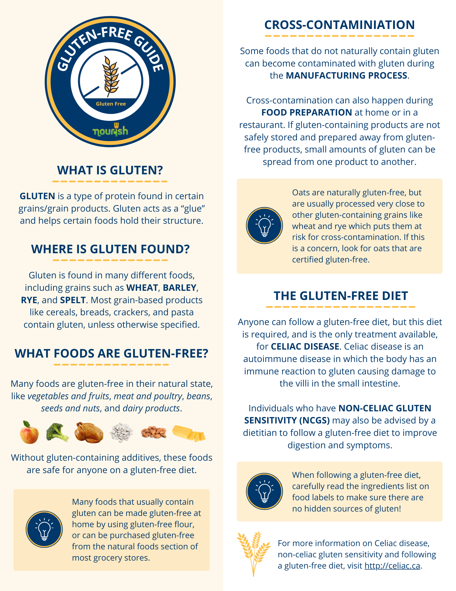 Gluten Allergy Guide